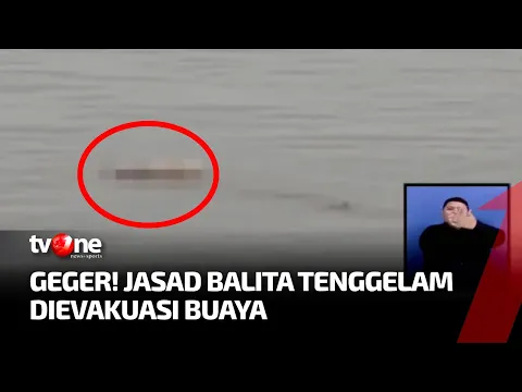 Seekor Buaya Evakuasi Bayi di Sungai