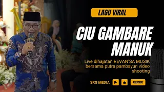 lagu viral revansa musik ft putra pambayun video shooting srg media