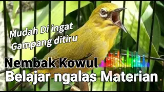 Download Pleci Materi Tembakan Kowul, mudah di ingat MP3