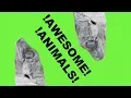 REPTILES REPTROPOLIS AND I BROKE MY KNEE Vlog 32