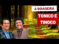 Download Lagu TONICO E TINOCO A BOIADEIRA irmã do menino da porteira