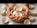 Lagu Het weggooien van eierschalen is een grote fout! Miljarden mensen kennen dit geheim niet eens!