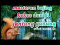 Download Lagu masteran bajing kekes dan pit jantung