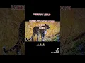 Download Lagu GOSPEL RINGTONE(2023)YESHUA HOLYDRILL