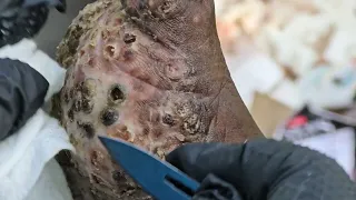 Wilfrida 86 blind badly jiggered - see long vids riseupsociety net ruskenya org
