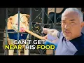 Lagu How Cesar Millan Stops a Guard Dog From Attacking His Family | Better Human Better Dog – S 2 - Ep 2