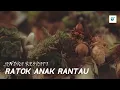 Download Lagu ANDRA RESPATI-RATOK ANAK RANTAU [ LIRIK VIDEO] LAGU MINANG TERBARU
