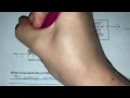 Study guide module 10