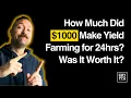 Download Lagu My $1000 Defi Portfolio Earnings After 24 Hours Yield Farming.
