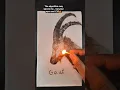 Drawing Ronaldo