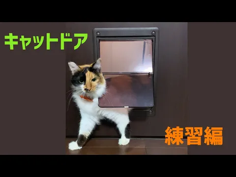キャットドア・ペットドアの取り付け　安心の法人対応☆