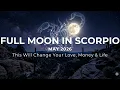 Full Moon May 2026 in Scorpio Flower Moon This Will Change Your Love Money Life