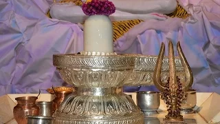 Athi Rudra Maha Yagna Recorded videos