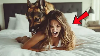 she slept with her dog every night months later she discovered something terrifying