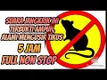 Download Lagu Suara Jangkrik Pengusir Tikus | Suara Ultrasonik Ampuh Pengusir Tikus | Cara Alami Mengusir Tikus