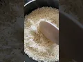 Download Lagu How to cook basmati rice…Cooking basmati rice.