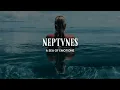 Navagio & Kid On The Block - Shape Of You