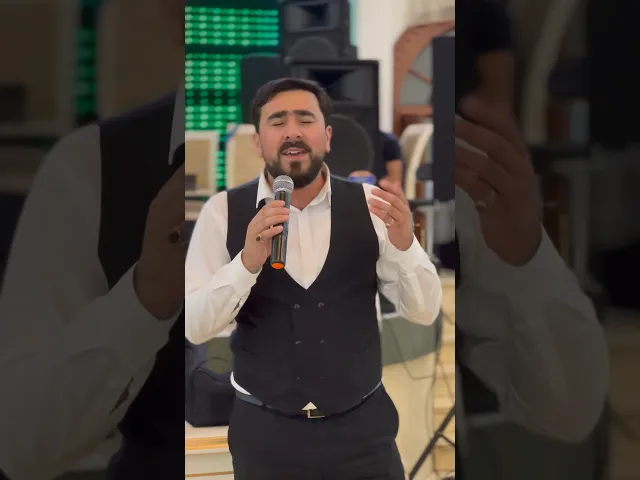 ⁣Seyyid Peyman - Ata #seyyidpeyman #shorts