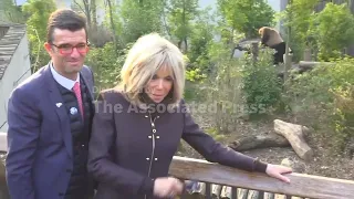 French first lady Brigitte Macron visits panda reserve in southwest China