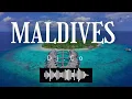 Download Lagu Dj Co - MALDIVES 🎶HOUSE 2026 🎺DISCO 🎤REMIX 🎧DANCE 🎸