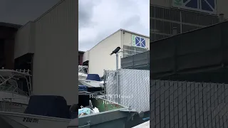 Huginn was digging in the trash for chicken hahaha ! #fyp #dream #life #wildlife #nature