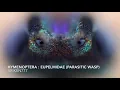 Amazing Electron Microscope Images Part 4