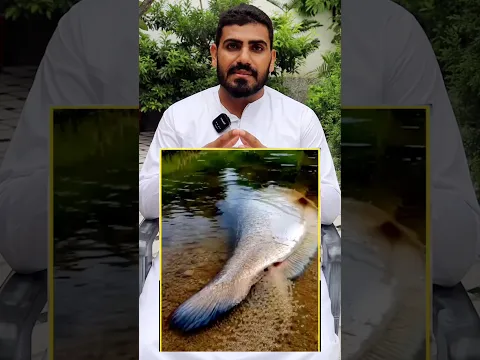 Micracle of God ! Allah ka Karishma Dekh lo !! #allahkiqudrat #miracleofgod #islamicmystery