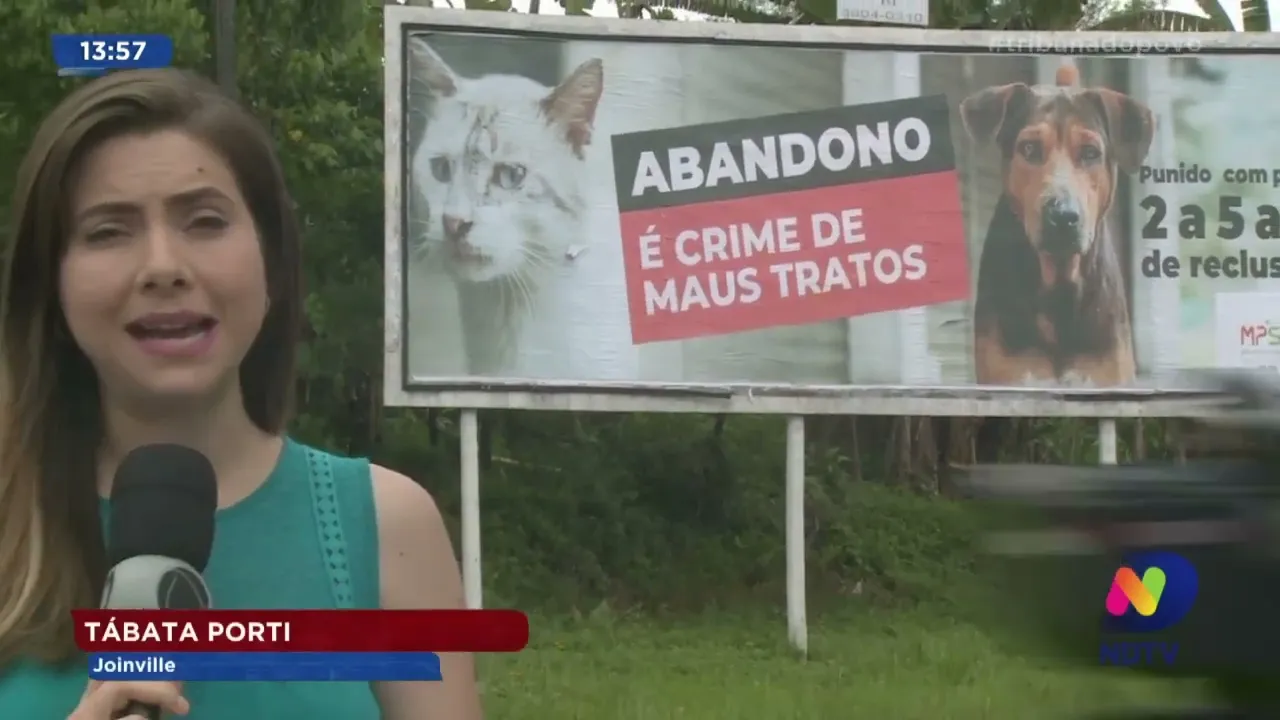 Dezembro Verde: alerta sobre abandono e maus tratos aos animais