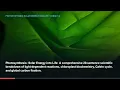 🔥 Photosynthesis: Solar Energy into Life | 20 Mind-Blowing Facts Explained (8K Doc)