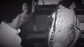 شيله   طارت طيور الغلا   اداء   صالح ال مانعه   دندنها
