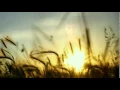 Download Lagu Rio Febrian - Tiada Kata Berpisah