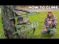 How to use a CLIMBER Tree Stand I Summit Viper Climber TreeStand 2023