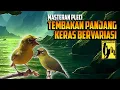 Download Lagu Masteran Pleci Nembak Panjang Variasi Terbaru