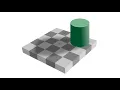Imperfect Perception Illusions Gestalt Principles of Grouping and Language Relativism