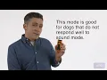 HOW TO USE NPS DOG TRAINING DEVICE - INSTRUCTION