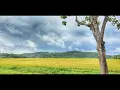 Download Lagu Mengapa Di Rindu..uji rashid