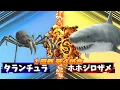 Download Lagu 【３D！大激突☆最強生物８匹がトーナメントバトル！！】恐竜や古代生物や現代の大人気の生き物が大バトル！毒グモ参戦 ！！
