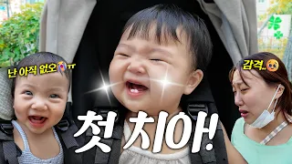 드디어 첫니! 인생 첫 치아가 생긴 왕만두!!