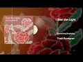 Todd Rundgren - I Saw the Light (Vinyl Visualizer)