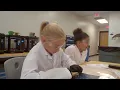 Frog Dissection