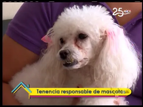 Tenencia responsable de mascotas