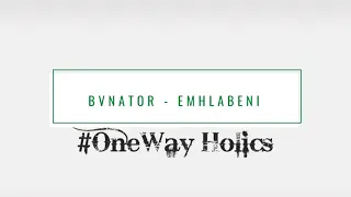 bvnator emhlabeni