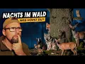 Lagu So klingt der Wald bei Nacht: 14 Geräusche die du kennen musst!
