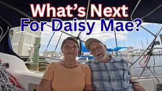 Aftermath of the Rescue-Did Daisy Mae Survive?