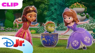 Do It Right 👍🧌 | Sofia la Principessa: Magia Reale | @DisneyJuniorIT
