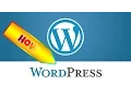 How to use WordPress Discussion Settings