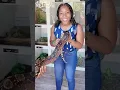 Download Lagu Would YOU Hold a Boa? 🐍😅 #Barbados