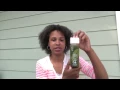 1915 Bolthouse Farms Organic Juice - Review