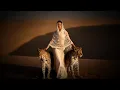 Download Lagu Ömer Bükülmezoğlu - Desert Rain (Official Video)
