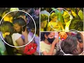 Download Lagu Unbelievable Transgender Dance At Balkampet Girls hulchal Dance dance at #balkampetyellammakalyanam